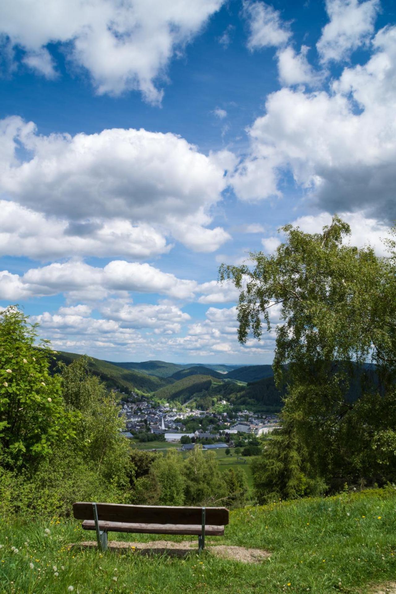 Ferienwohnung zur Schönen Aussicht-Rüters Parkhotel Willingen  Exterior foto